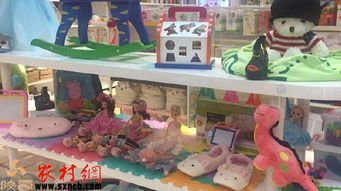 掘金鄉(xiāng)野新藍(lán)海 三大農(nóng)村創(chuàng)業(yè)項目，玩具技術(shù)開發(fā)與銷售引領(lǐng)風(fēng)潮